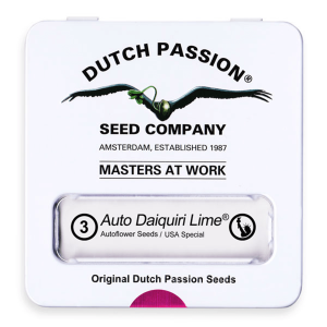 Dutch Passion Auto Daiquiri Lime | Automatik | 3/7/100 Samen