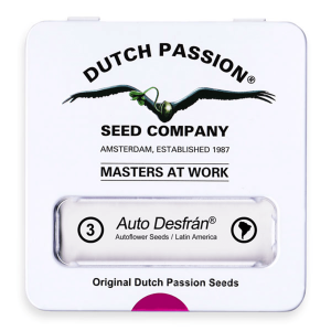 Dutch Passion Auto Desfrán | Automatik | 3/7/100...