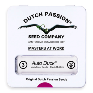 Dutch Passion Auto Duck | Automatic | 3/7/100 seeds