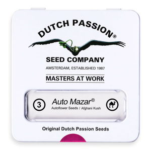 Dutch Passion Auto Mazar | Automatic | 3/7/100 seeds