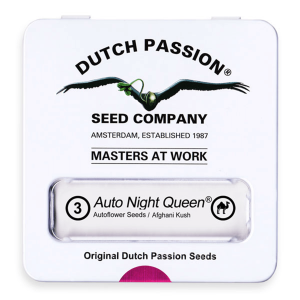 Dutch Passion Auto Night Queen | Automatik | 3/7/100 Samen