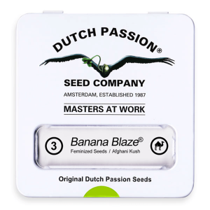Dutch Passion Banana Blaze | Feminisiert | 3/5/10/100 Samen