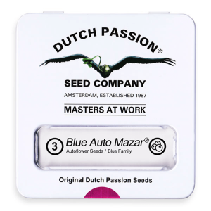 Dutch Passion Blue Auto Mazar | Automatik | 3/7/100 Samen