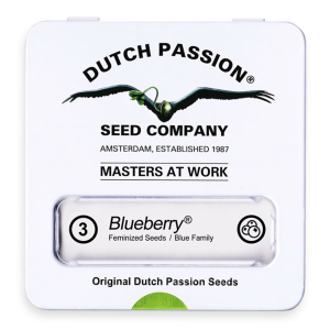 Dutch Passion Blueberry | Feminized | 3/5/10/100 seeds