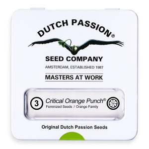 Dutch Passion Critical Orange Punch | Feminisiert |...