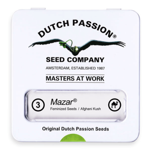 Dutch Passion Mazar | Feminized | 3/5/10/100 seeds