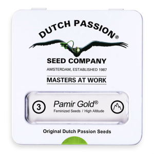 Dutch Passion Pamir Gold | Feminized | 3/5/10/100 seeds