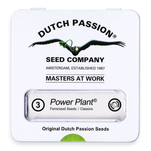 Dutch Passion Power Plant | Feminized | 3/5/10/100 seeds