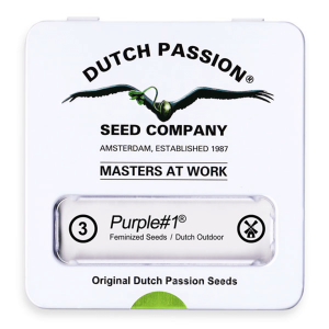 Dutch Passion Purple #1 | Feminisiert | 3/5/10/100 Samen