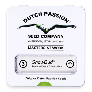 Dutch Passion Snow Bud | Feminisiert | 3/5/10/100 Samen