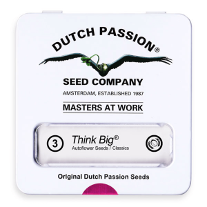 Dutch Passion Think Big | Automatic | 3/7/100 seeds