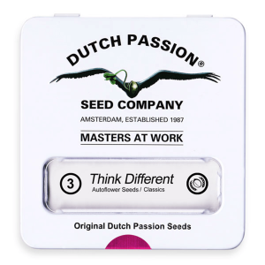 Dutch Passion Think Different | Automatik | 3/7/100 Samen