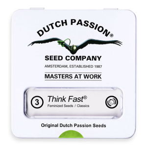Dutch Passion Think Fast | Feminized | 3/5/10/100 seeds