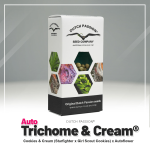 Dutch Passion Trichome & Cream | Automatic | 3/7/100...