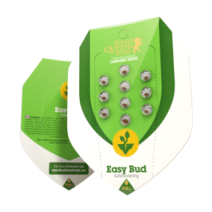 Royal Queen Easy Bud | Automatik | 3/5/10/100 Samen