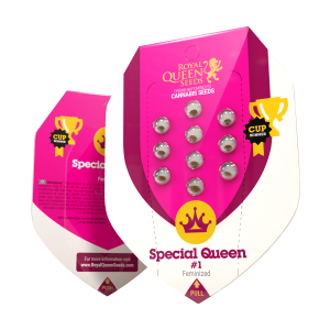 Royal Queen Special Queen # 1 | Feminized | 3/5/10/100 seeds