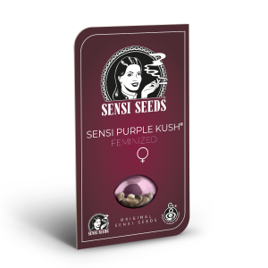 Sensi Seeds Purple Kush | Feminisiert | 3/5/10 Samen