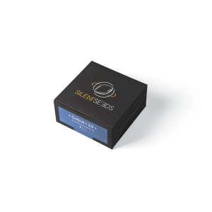 Silent Seeds Critical + 2.0 | Automatik | 5 oder 10 Samen