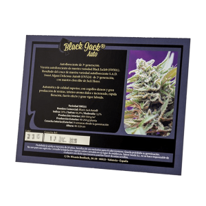 Sweet Seeds Black Jack | Automatik | 3 oder 5 Samen