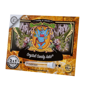 Sweet Seeds Crystal Candy | Automatik | 3/5/25/100 Samen