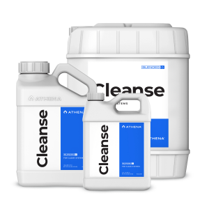 Athena | Cleanse | 3,78l