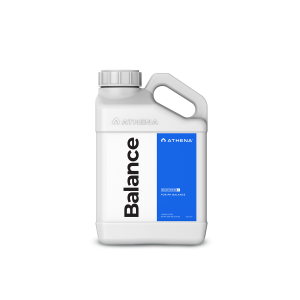 Athena | Balance | 3,78l