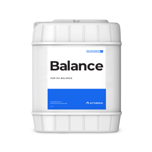 Athena | Balance | 18,91l