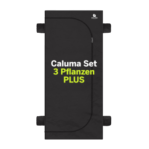 Caluma Set | 3 Pflanzen Plus | 100 x 100cm | 320W
