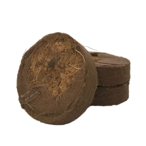 Bushplanet 1-Plant-Pot-Set