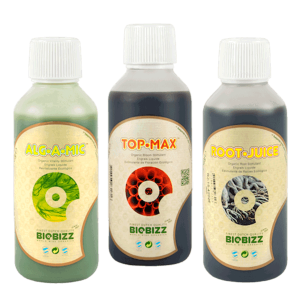 BioBizz Trypack | Stimulant
