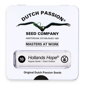 Dutch Passion Hollands Hope | Regulär | 10 Samen