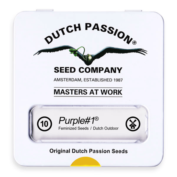 Dutch Passion Purple #1 | Fem | 10er