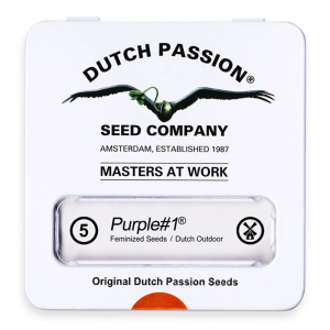 Dutch Passion Purple #1 | Feminisiert | 5 Samen
