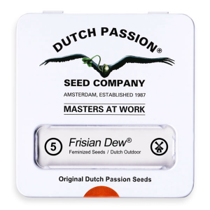 Dutch Passion Frisian Dew | Fem | Pack of 5