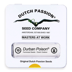 Dutch Passion Durban Poison | Fem | 10er