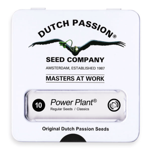 Dutch Passion Power Plant | Regulär | 10 Samen