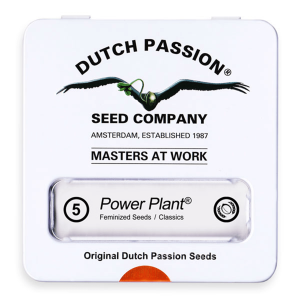 Dutch Passion Power Plant | Fem | 5er