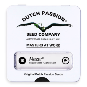Dutch Passion Mazar | Regulär | 10 Samen