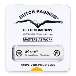 Dutch Passion Mazar | Feminized | 10 seeds