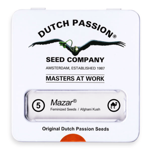 Dutch Passion Mazar | Fem | 5er