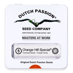 Dutch Passion Orange Hill Special | Fem | 5er