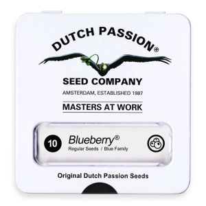 Dutch Passion Blueberry | Regulär | 10 Samen