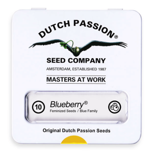 Dutch Passion Blueberry | Fem | 10er