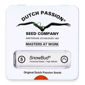 Dutch Passion Snow Bud | Fem | 5er