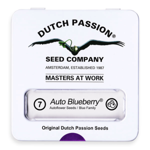 Dutch Passion Auto Blueberry | Automatik | 7 Samen