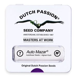 Dutch Passion Auto Mazar | Automatik | 7 Samen