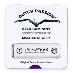 Dutch Passion Think Different | Automatik | 7 Samen