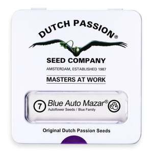 Dutch Passion Blue Auto | Mazar | Auto | 7er