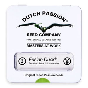 Dutch Passion Frisian Duck | Fem | 3er