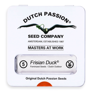 Dutch Passion Frisian Duck | Fem | 5er